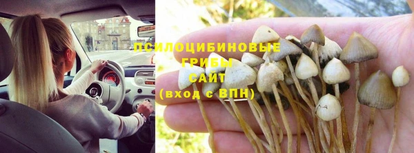 сатива Алексеевка