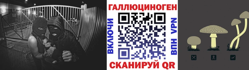 Галлюциногенные грибы мухоморы  Каменка 