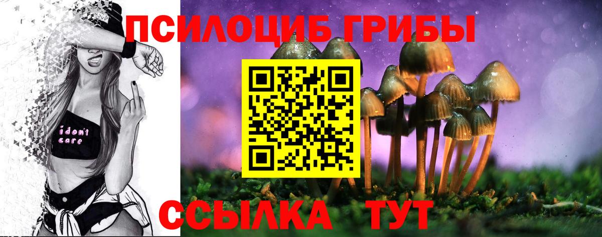 Псилоцибиновые грибы Magic Shrooms Каменка