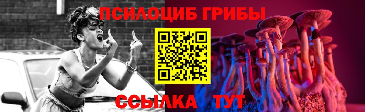 Каменка  Галлюциногенные грибы GOLDEN TEACHER  Вход с VPN 